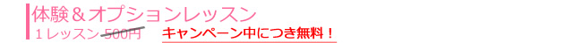 体験レッスン/追加オプション
